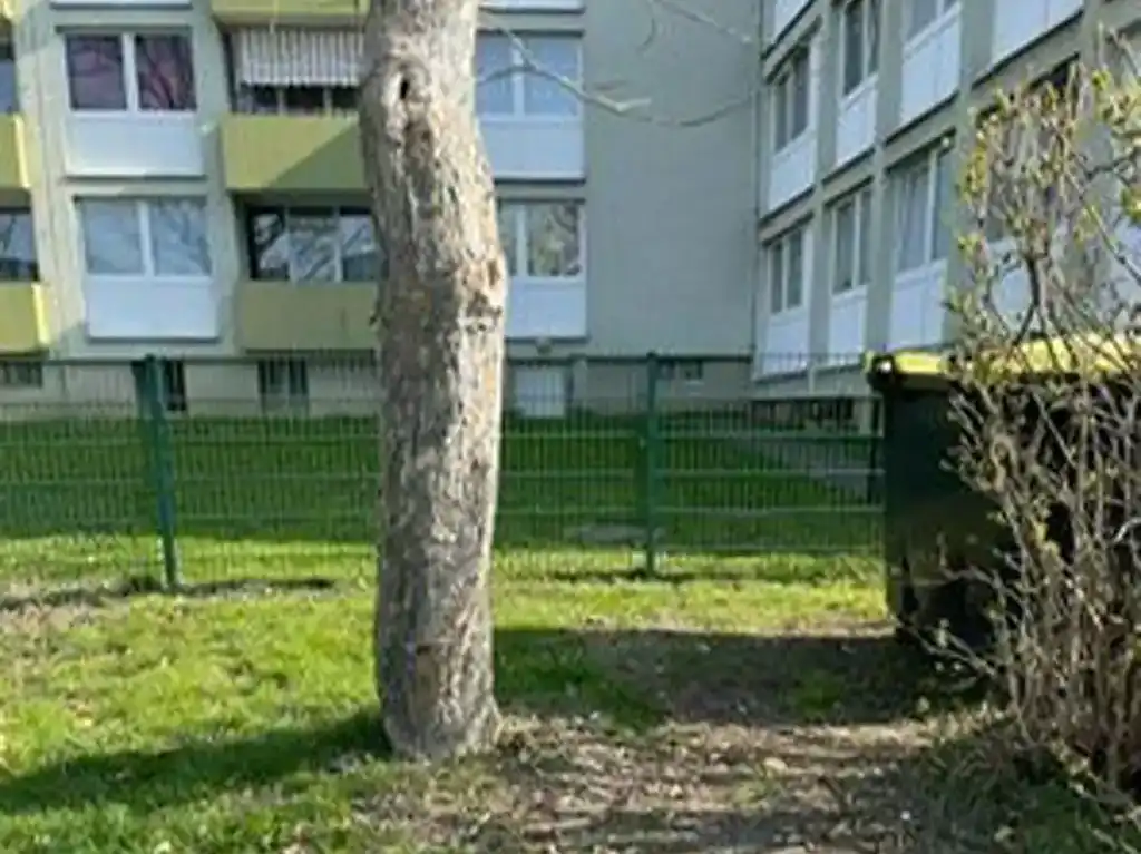Gartenräumungen Nachher-Aufnahme
