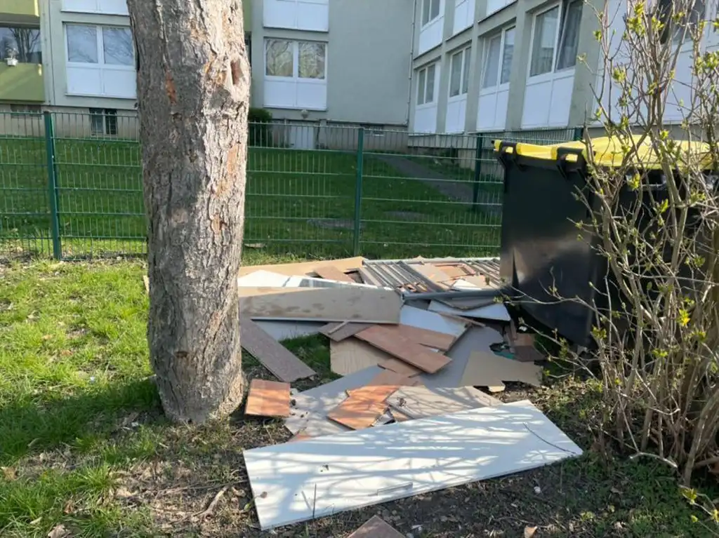 Gartenräumungen Vorher-Aufnahme