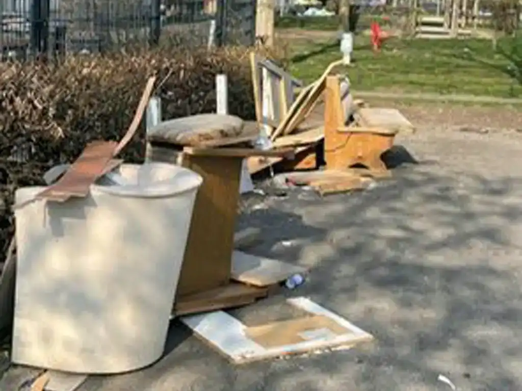 Gartenräumungen Vorher-Aufnahme
