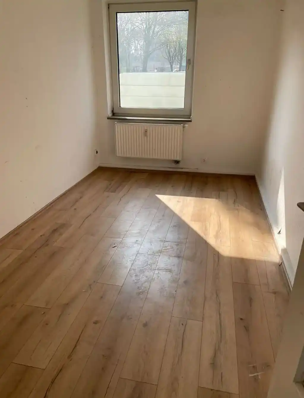 Haushaltsauflösung Nachher-Aufnahme